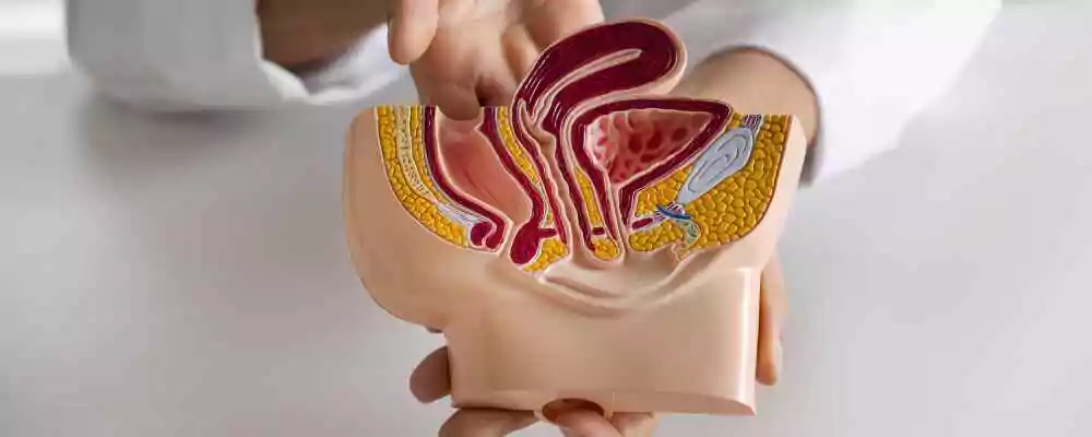 Urology Specialists in Madhapur